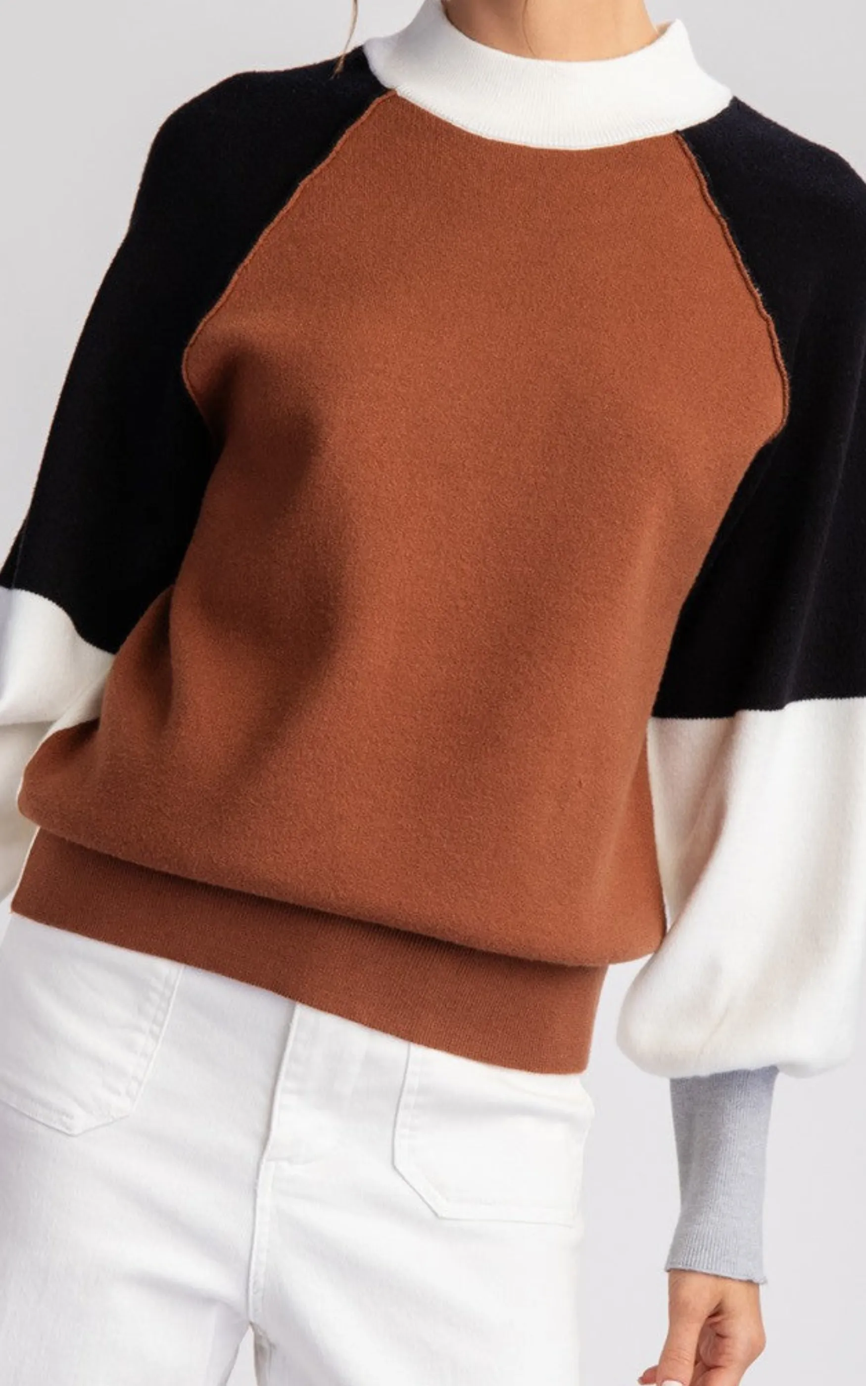 Terracotta Colorblock Mock Neck Sweater Top